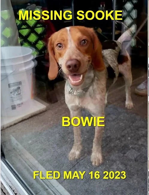 UNRESOLVED - SOOKE BC. / BOWIE / MAY 16, 2023