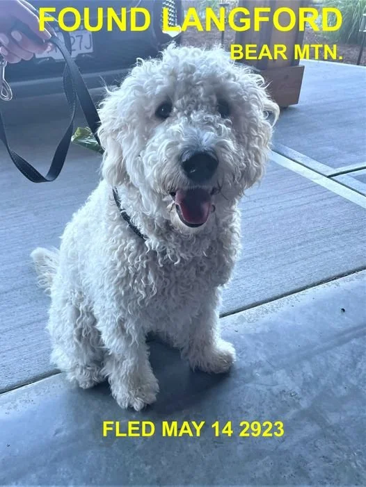 HAPPY ENDINGS - LANGFORD BC. / MAY 14, 2023