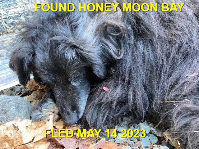 OVER THE RAINBOW BRIDGE - HONEYMOON BAY BC. / MAY 14, 2023