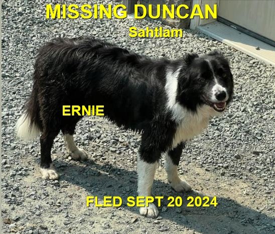 HAPPY ENDINGS - DUNCAN BC. / ERNIE / SEPT 20, 2024