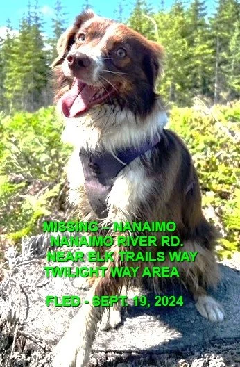 HAPPY ENDINGS - NANAIMO BC. / NOVA / SEPT. 19, 2024