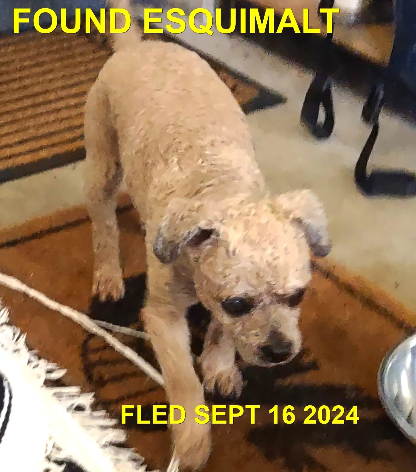 HAPPY ENDINGS - ESQUIMALT BC. / SEPT 16, 2024