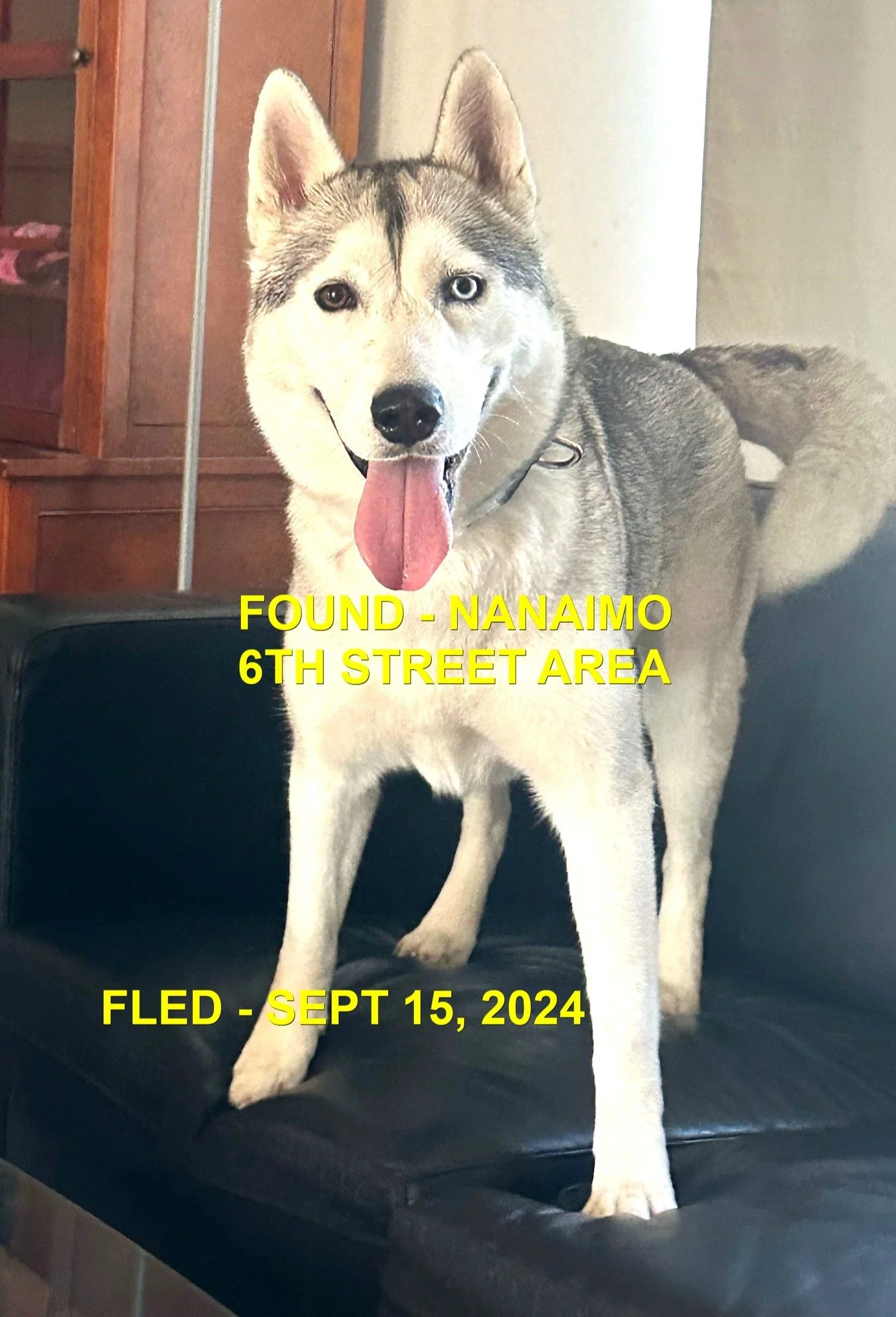 HAPPY ENDINGS - NANAIMO BC. / SEPT 16, 2024