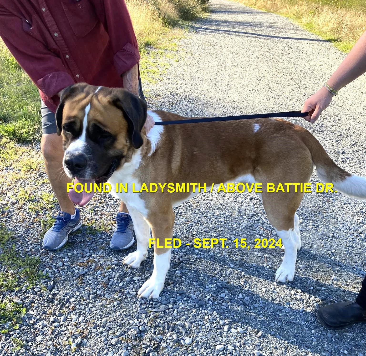 HAPPY ENDINGS - LADYSMITH BC. /  SEPT 15, 2024