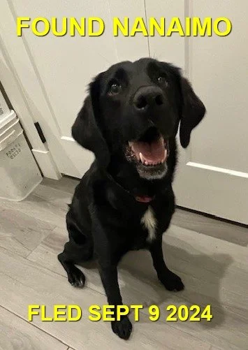 HAPPY ENDINGS - NANAIMO BC. / SEPT. 9, 2024