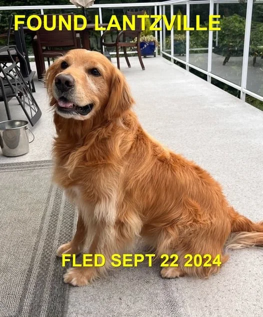 HAPPY ENDINGS - LANTZVILLE BC. / SEPT 22, 2024