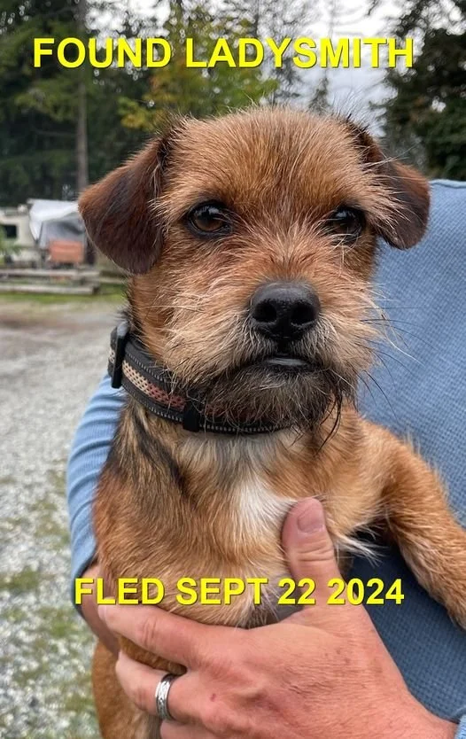 HAPPY ENDINGS - LADYSMITH BC. / SEPT. 22, 2024