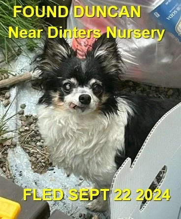 HAPPY ENDINGS - DUNCAN BC. / SEPT. 22, 2024