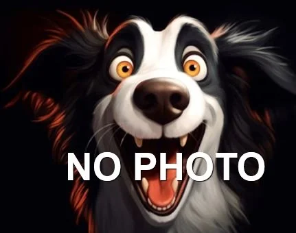 GONE TO SHELTER / HAPPY ENDINGS - NANAIMO BC. / HANK / SEPT 21, 2024