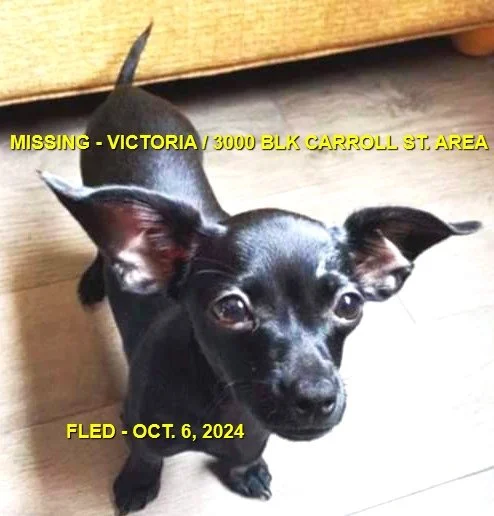 HAPPY ENDINGS - VICTORIA BC. / STORMI / OCT. 6, 2024