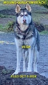 HAPPY ENDINGS - QUALICUM BEACH BC. / VEGA / OCT. 5, 2024