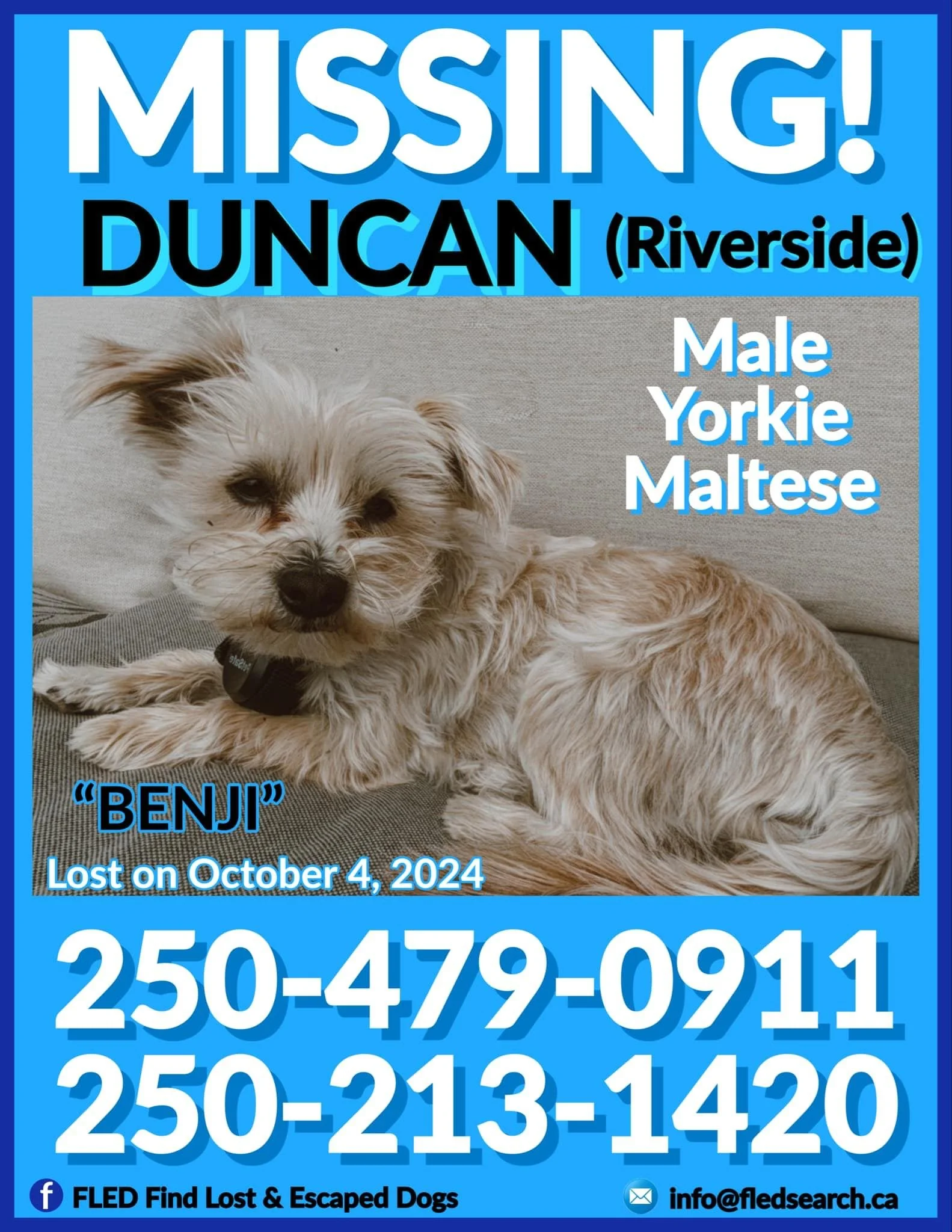 OVER THE RAINBOW BRIDGE - DUNCAN BC. / BENJI / OCT. 4, 2024