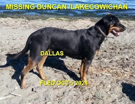 HAPPY ENDINGS - DUNCAN / LK COW BC. / DALLAS / OCT 3, 2024