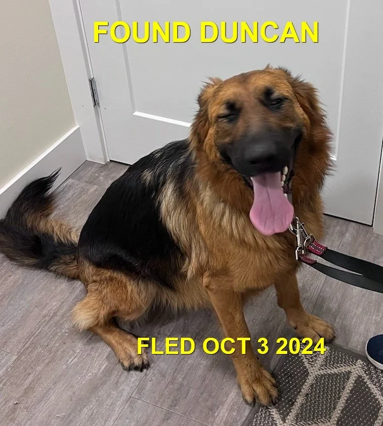 HAPPY ENDINGS - DUNCAN BC. / OCT. 3, 2024