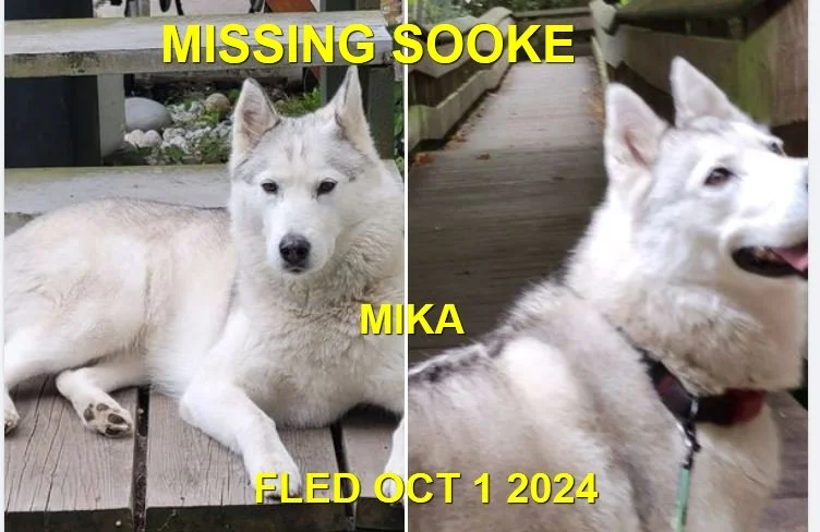 HAPPY ENDINGS - SOOKE BC. / MIKA / OCT. 1, 2024