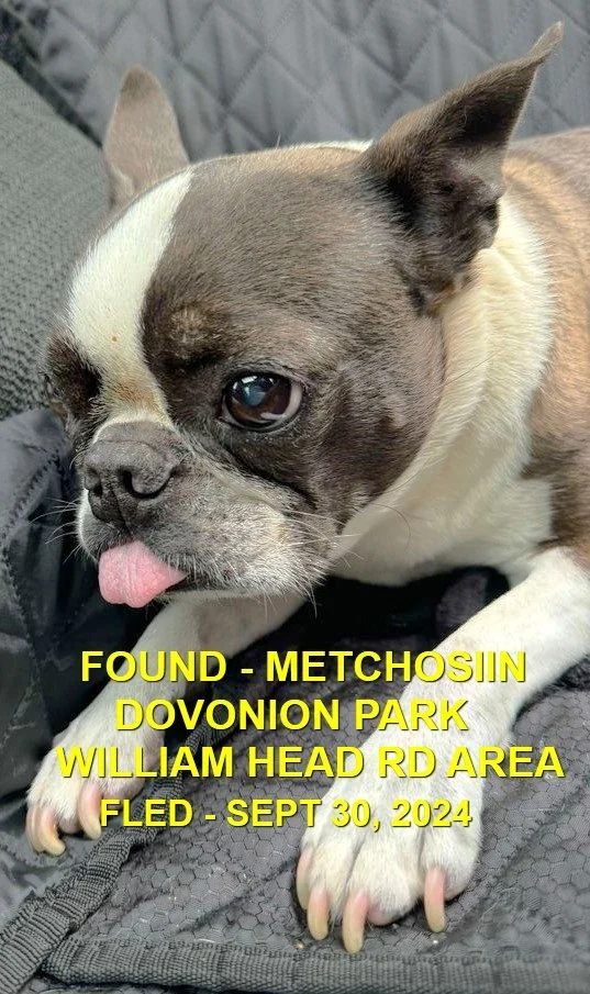 HAPPY ENDINGS - METCHOSIN BC. / TIO / SEPT 30, 2024