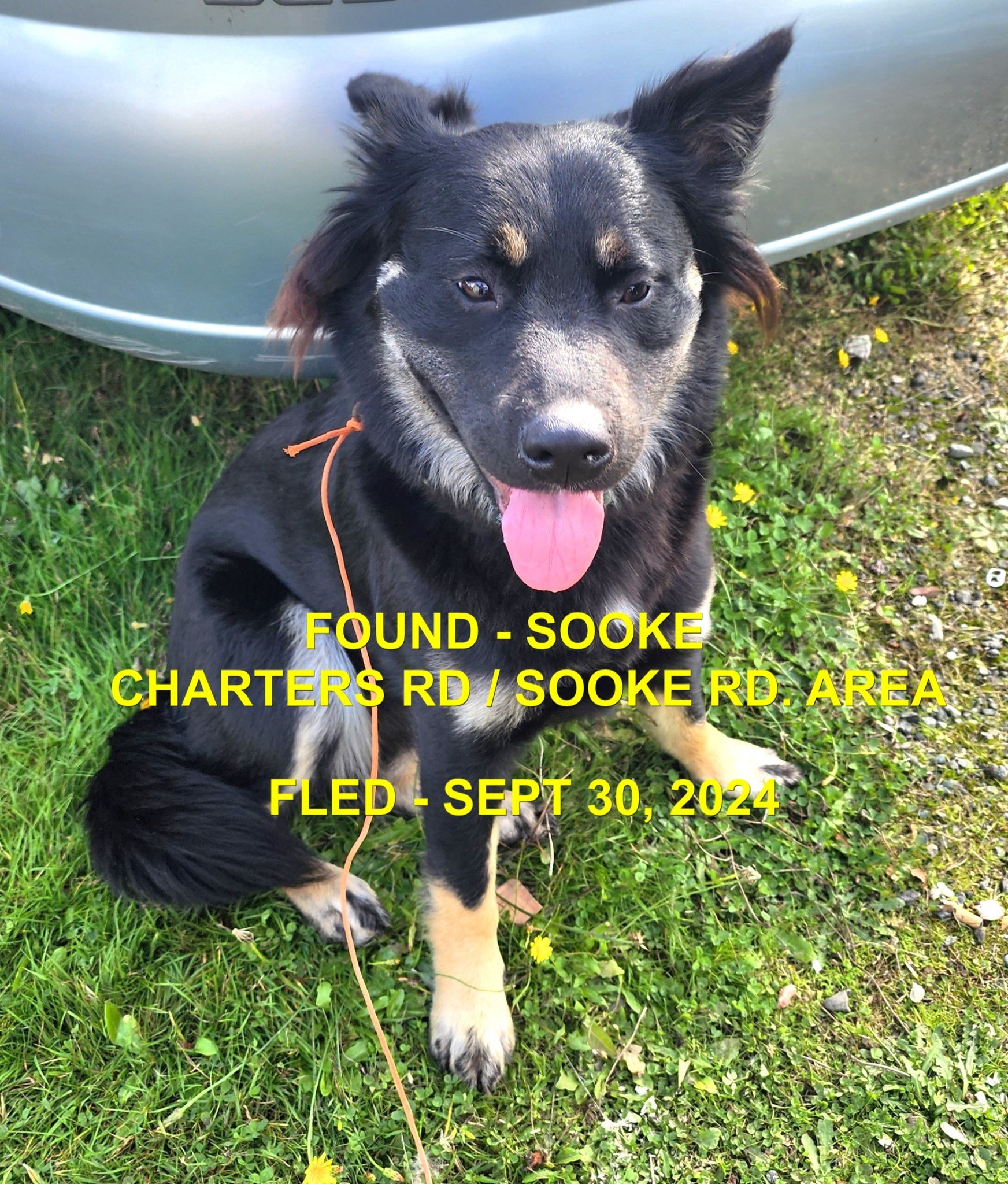 HAPPY ENDINGS - SOOKE BC. / SEPT 30, 2024