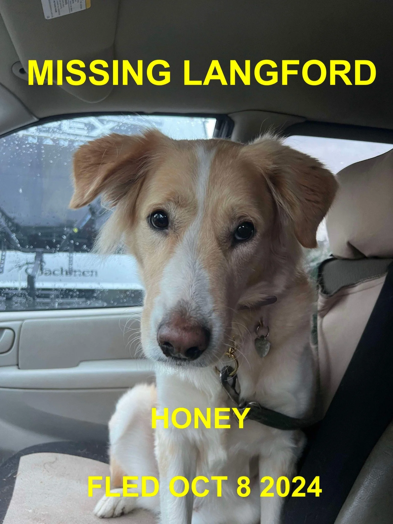 HAPPY ENDINGS - LANGFORD BC. / HONEY / OCT. 8, 2024