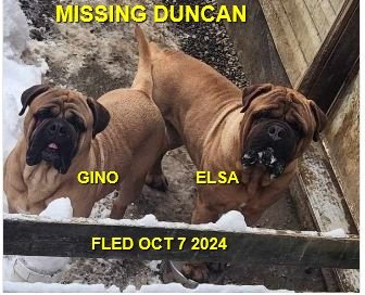 WENT HOME ON THEIR OWN - DUNCAN BC. / GINO &amp; ELSA / OCT. 7, 2024