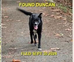 HAPPY ENDINGS - DUNCAN BC. / SEPT. 30, 2024
