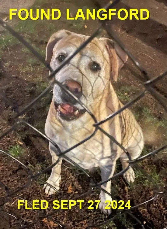 GONE TO SHELTER / HAPPY ENDINGS - LANGFORD BC. / SEPT. 27, 2024