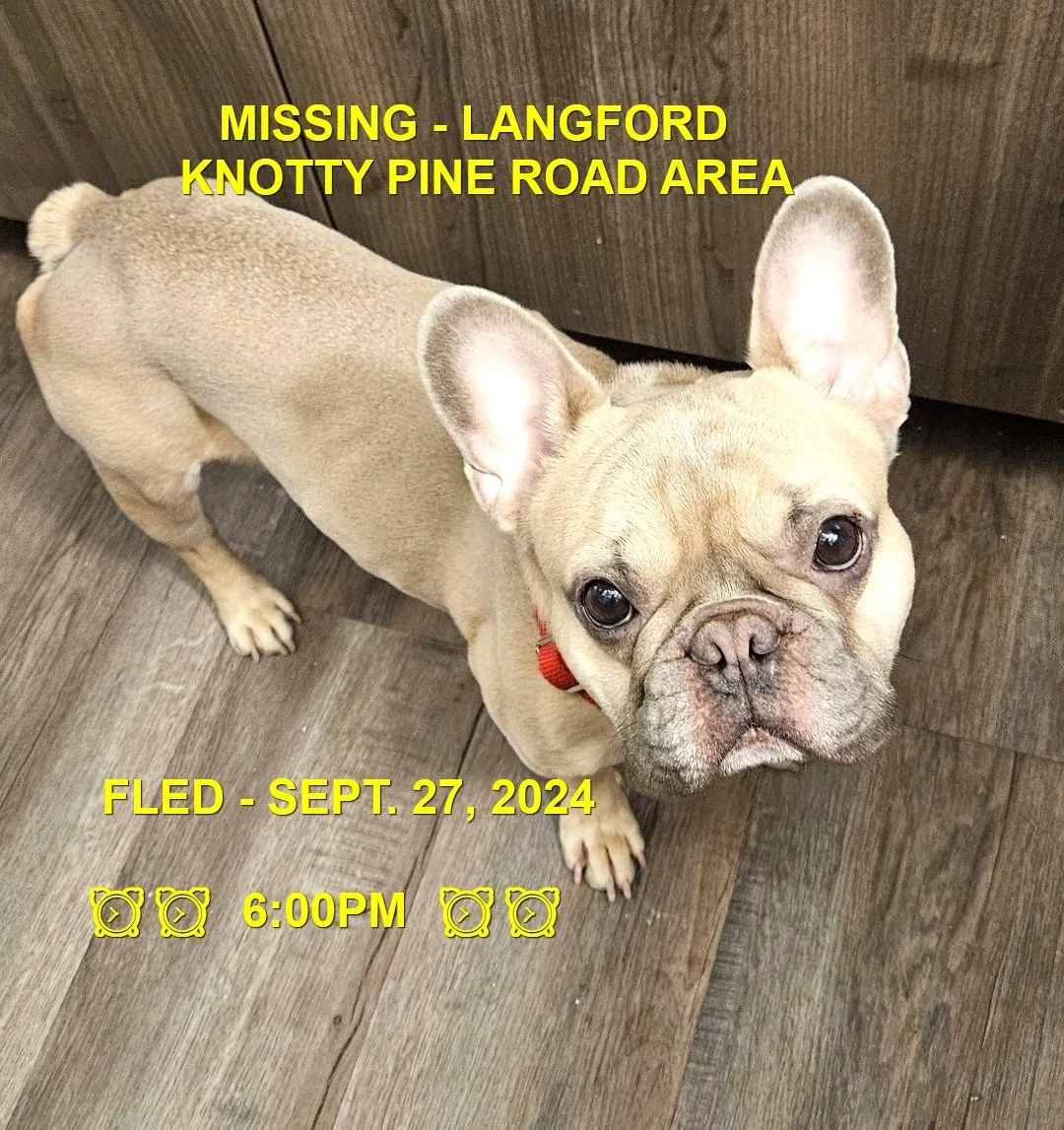HAPPY ENDINGS - LANGFORD BC. / RUBY / SEPT. 27, 2024