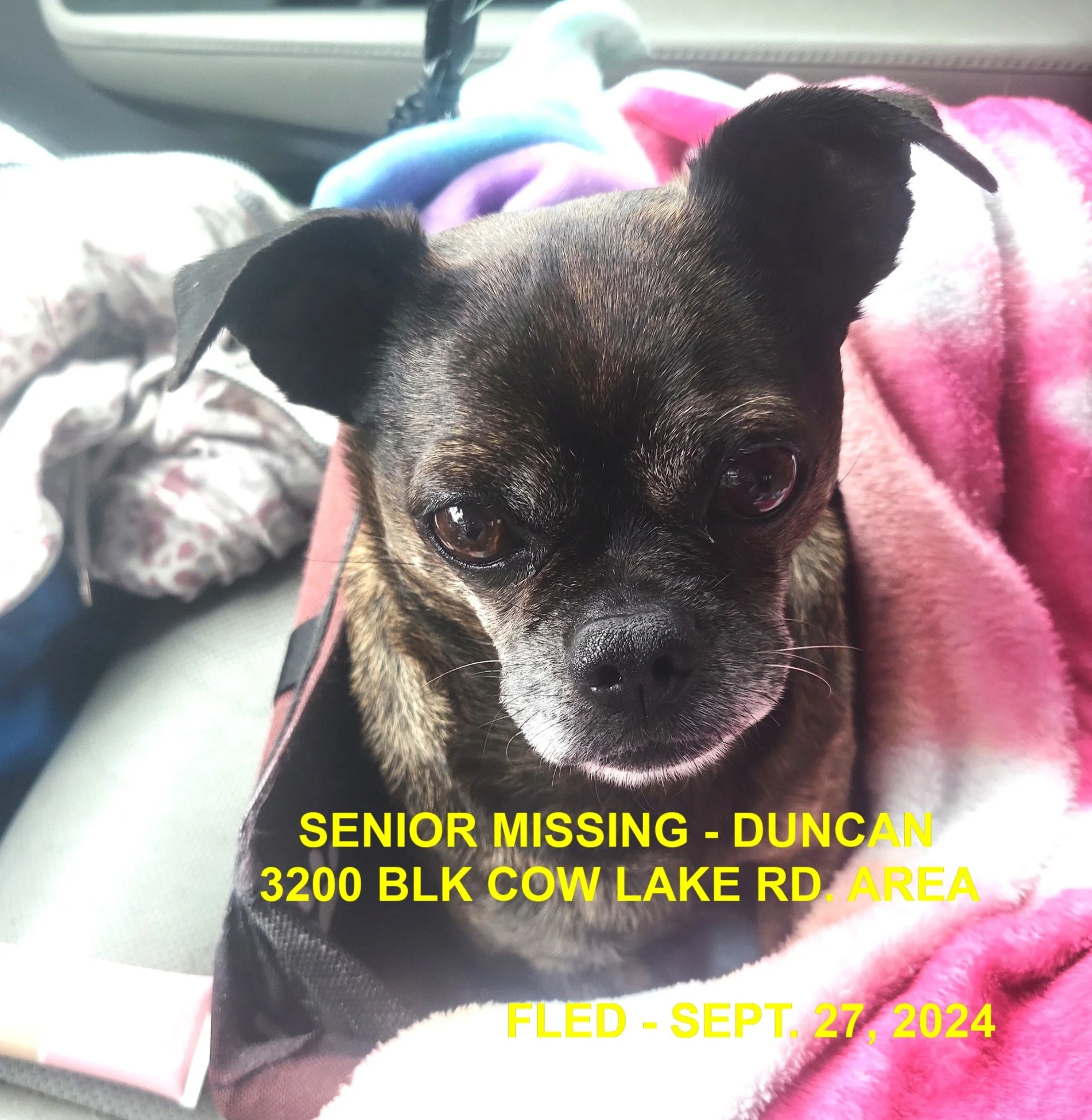 HAPPY ENDINGS (HIT BY CAR) - DUNCAN BC. / JAX / SEPT. 27, 2024