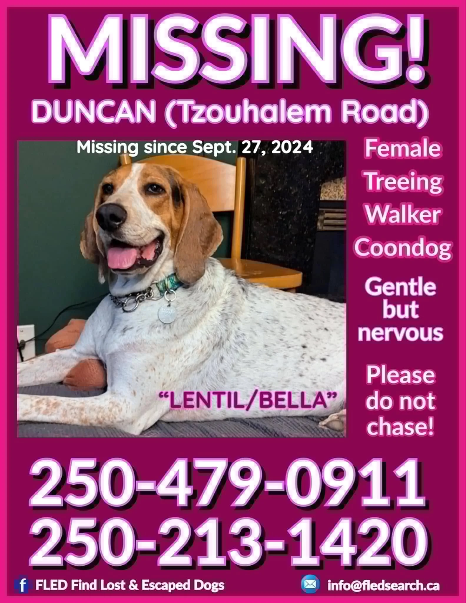 HAPPY ENDINGS - DUNCAN BC. / BELLA / SEPT. 27, 2024