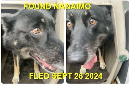 HAPPY ENDINGS - NANAIMO BC. / SEPT 26, 2024