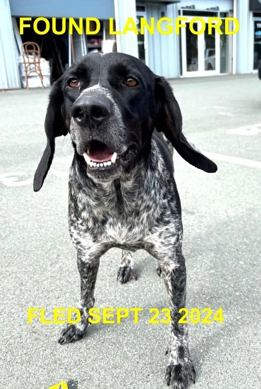 HAPPY ENDINGS - LANGFORD BC. / PENNY / SEPT 23, 2024