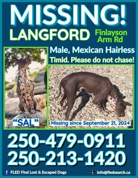 HAPPY ENDINGS - LANGFORD BC. / SAL / SEPT 21, 2024
