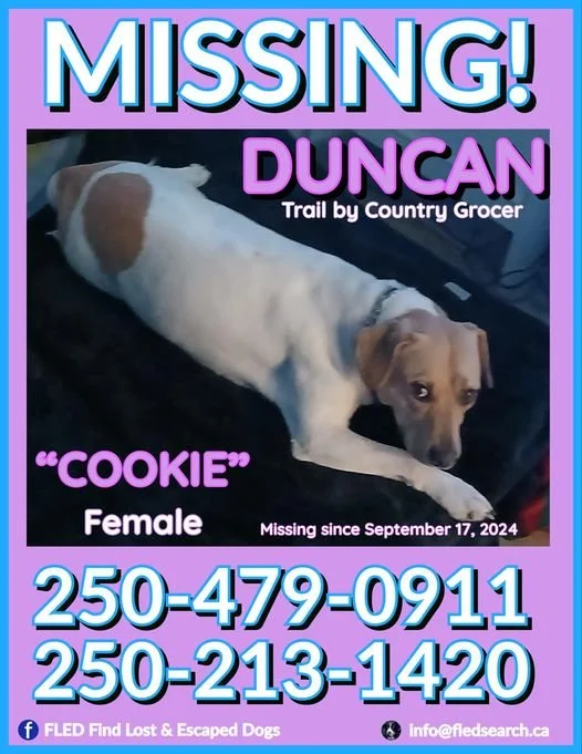 UNRESOLVED - DUNCAN BC. / COOKIE / SEPT 17, 2024