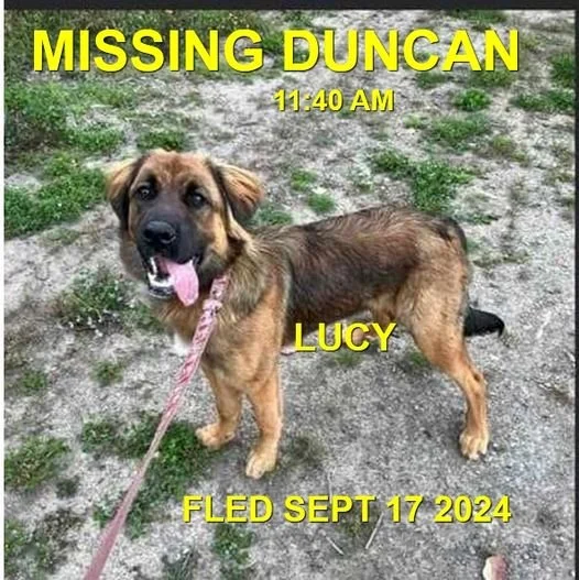 HAPPY ENDINGS - DUNCAN / LUCY / SEPT 17, 2024