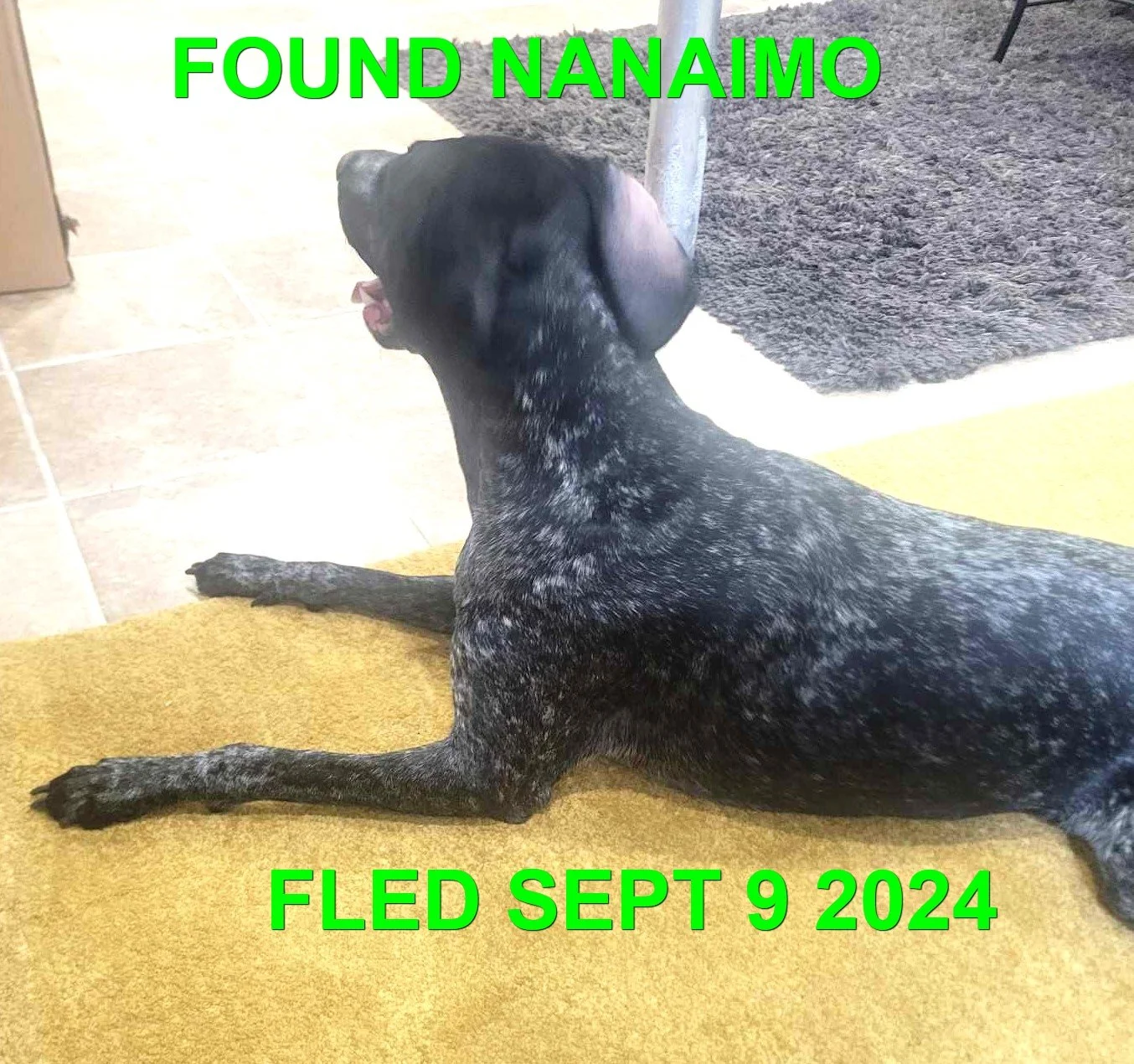 HAPPY ENDINGS - NANAIMO BC. / SEPT 9, 2024