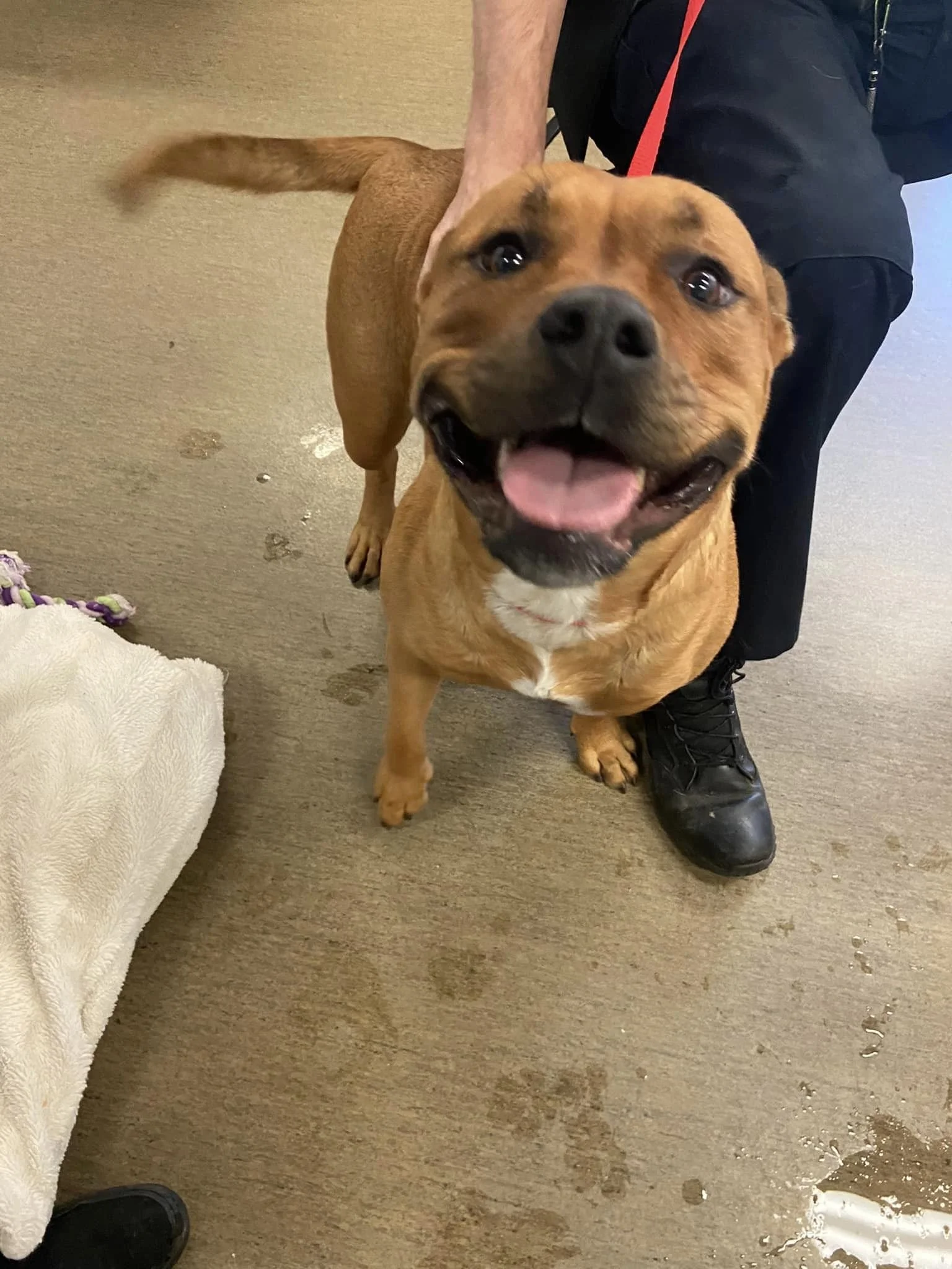 GONE TO SHELTER - GONE HOME - NANAIMO BC. / OCT. 16, 2024