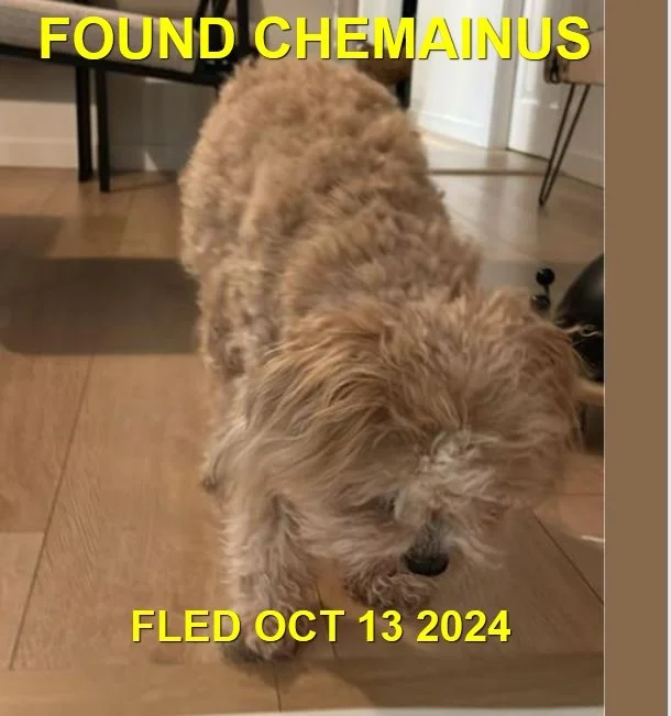 HAPPY ENDINGS -CHEMAINUS BC. / OCT. 12, 2024