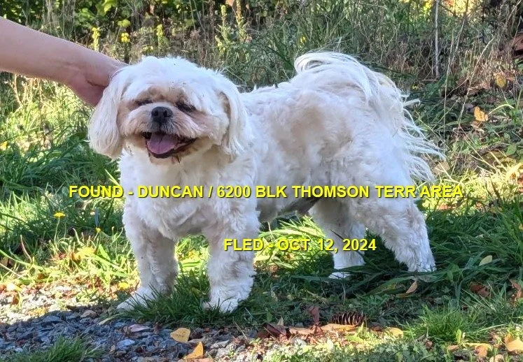 HAPPY ENDINGS - DUNCAN BC. / OCT. 12, 2024