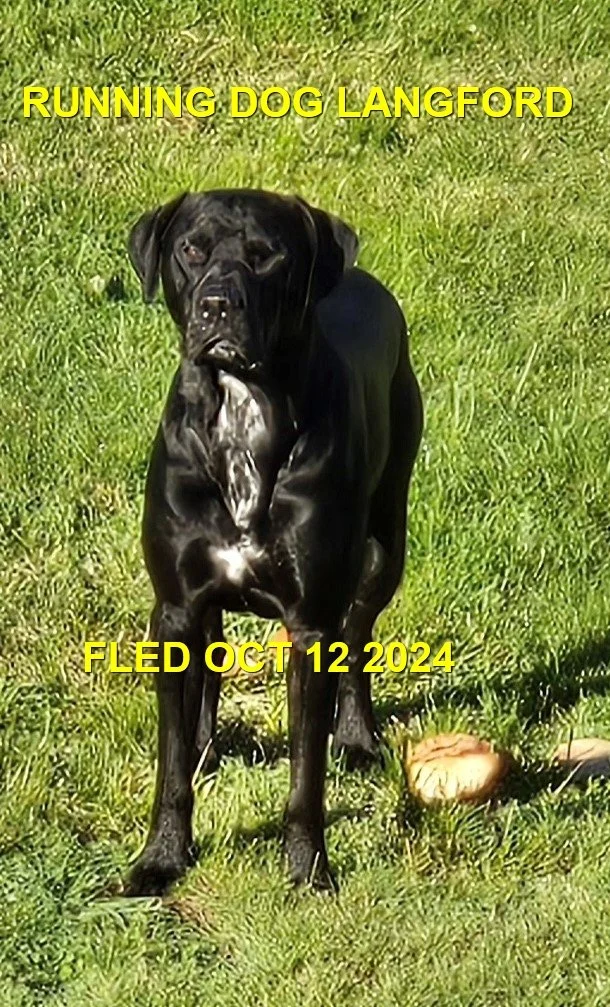 HAPPY ENDINGS - LANGFORD BC. / OCT. 12, 2024