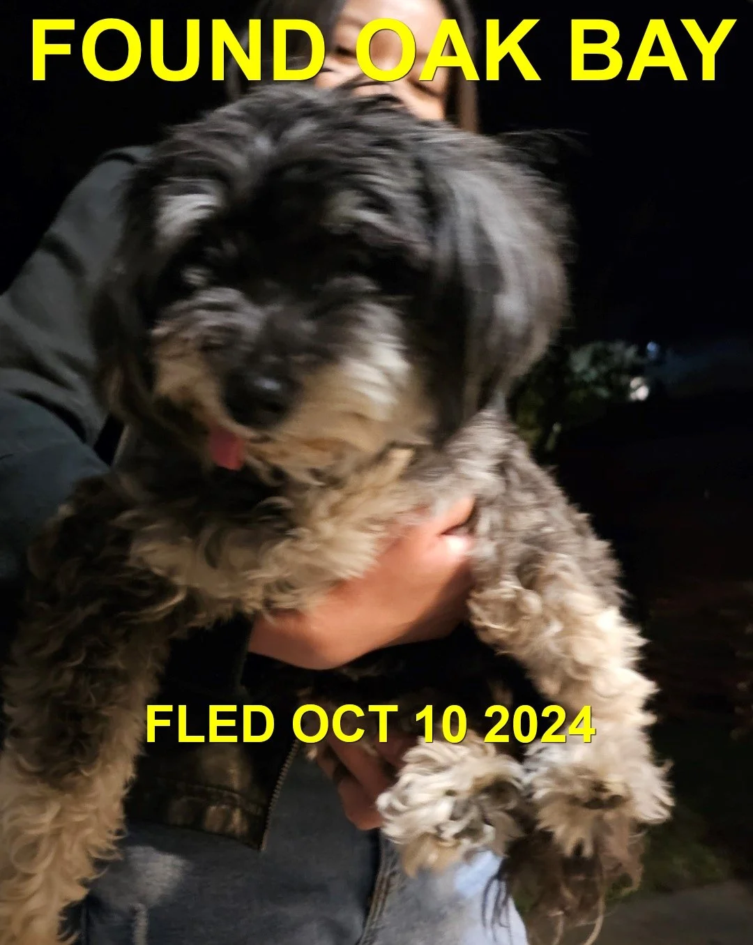 HAPPY ENDINGS - VICTORIA BC. / OCT. 10, 2024