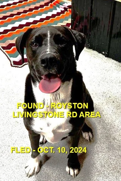 HAPPY ENDINGS - ROYSTON BC. / OCT. 10, 2024