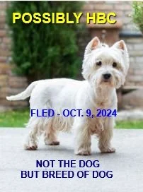 HAPPY ENDINGS - VICTORIA BC. 