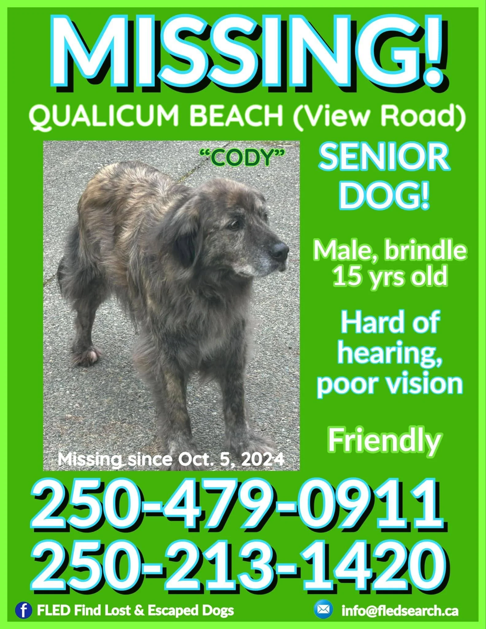 OVER THE RAINBOW BRIDGE - QUALICUM BEACH BC. / CODY / OCT. 5, 2024