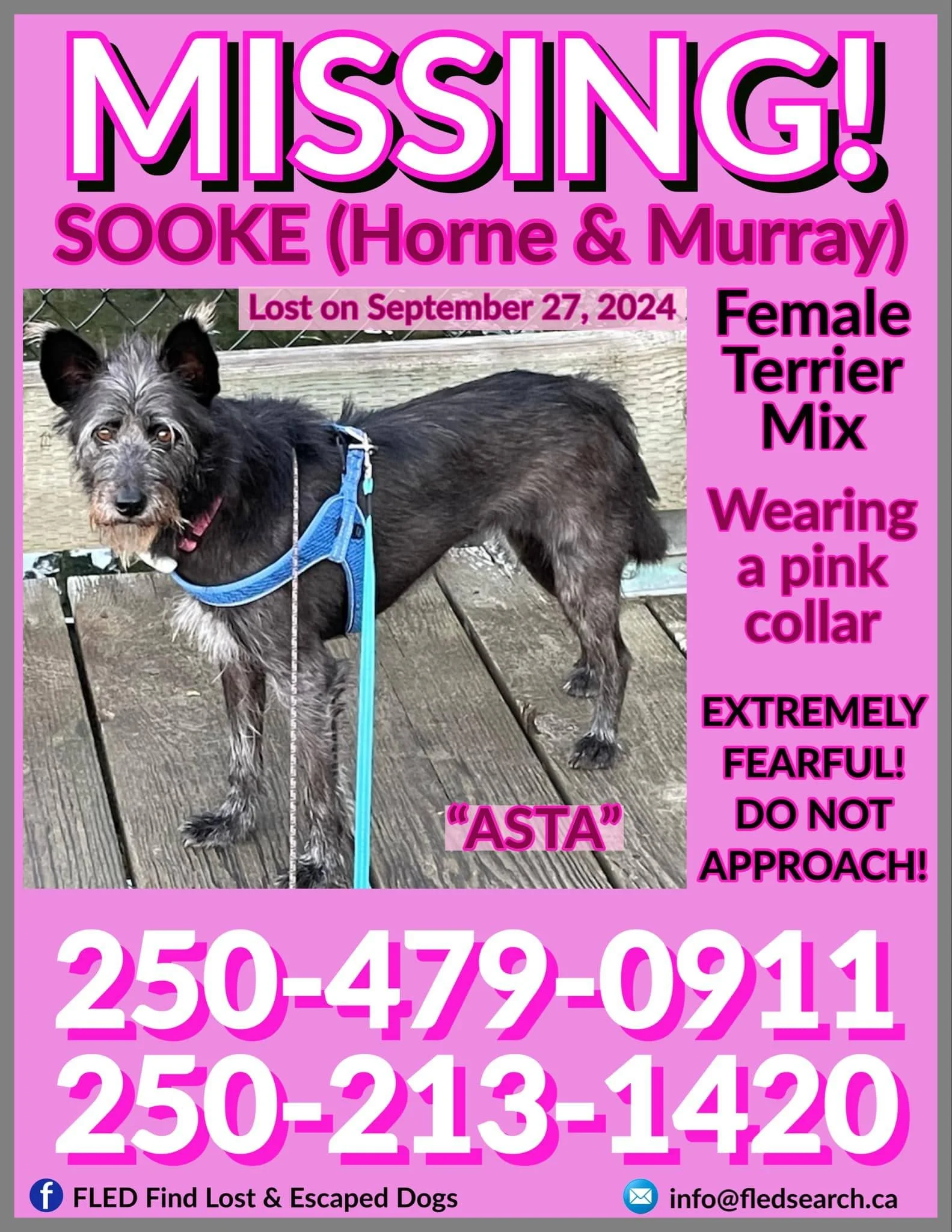 HAPPY ENDINGS - SOOKE BC. / ASTA / SEPT. 27, 2024
