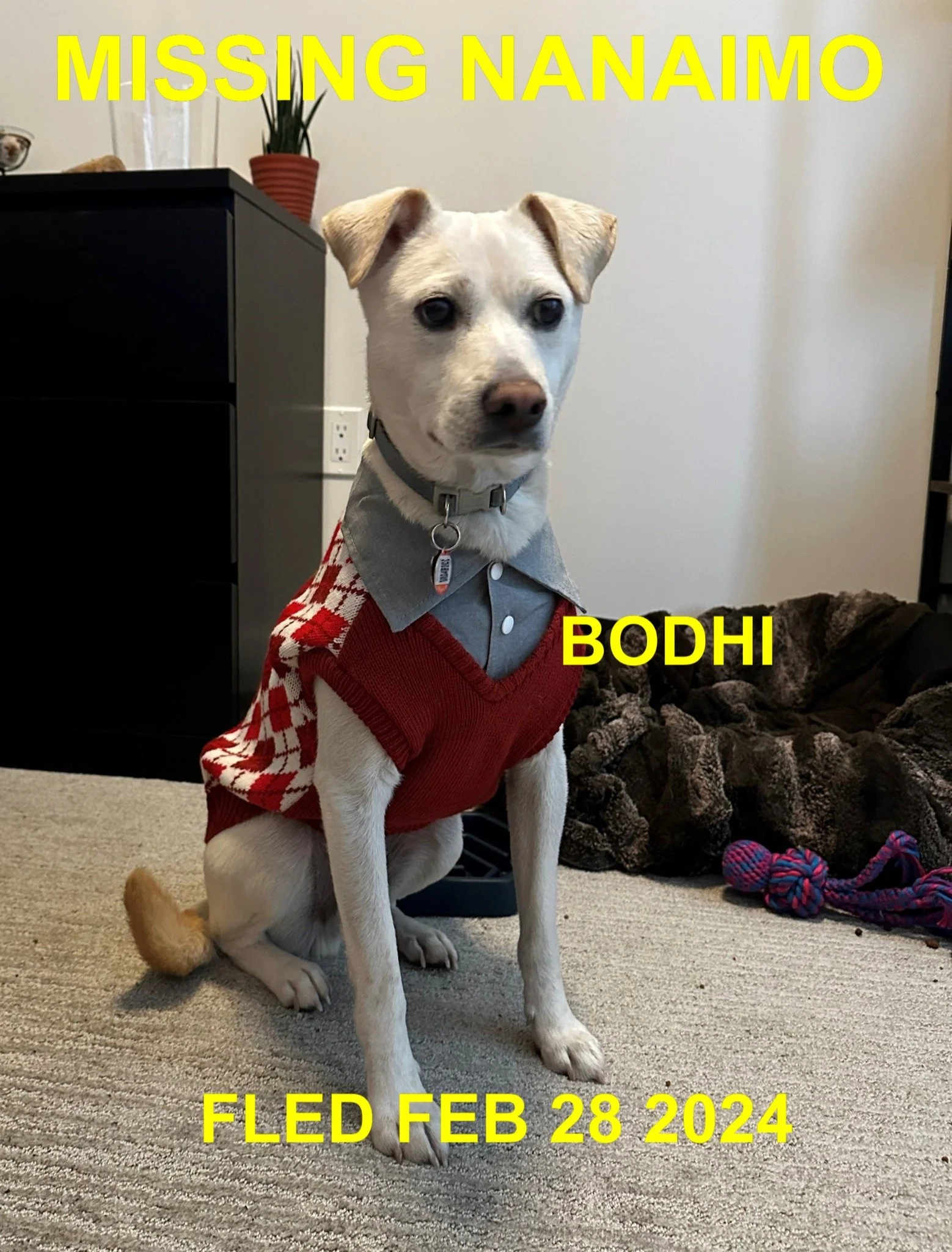 HAPPY ENDINGS - NANAIMO BC. / BODHI / FEB. 28, 2024