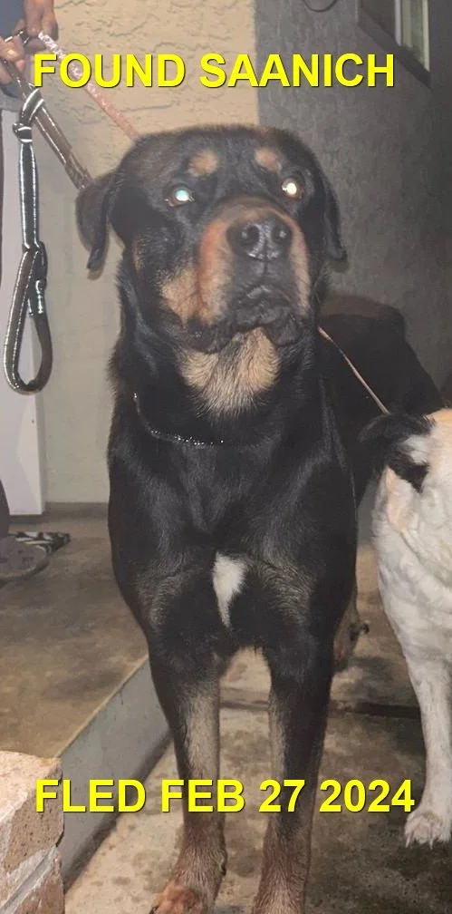 HAPPY ENDINGS -  SAANICH BC. / FEB. 27, 2024