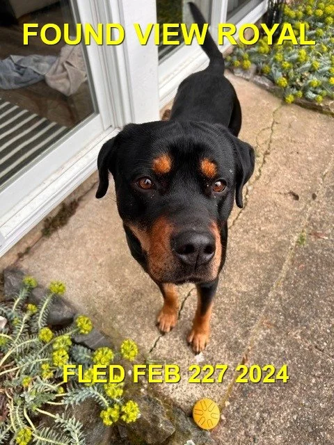 HAPPY ENDINGS - VIEW ROYAL BC. / FEB. 27, 2024