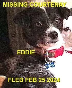 HAPPY ENDINGS - COURTENAY BC. / EDDIE / FEB. 25, 2024