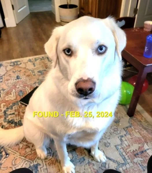 HAPPY ENDINGS - NANAIMO BC. / FEB. 25, 2024