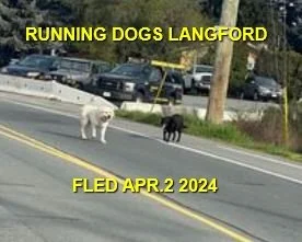 HAPPY ENDING - LANGFORD BC. / APR. 2, 2024
