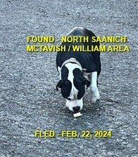 HAPPY ENDINGS - NORTH SAANICH BC. / FEB. 22, 2024